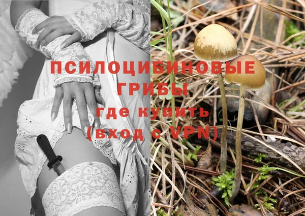 трава Алзамай