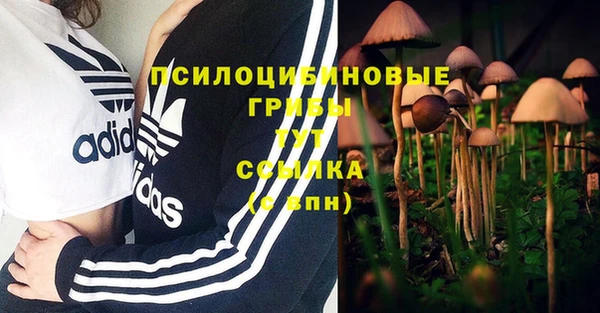 трава Алзамай