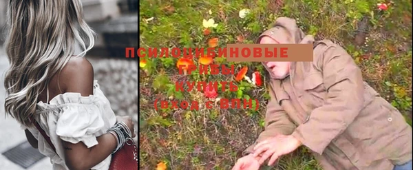 винт Алексеевка