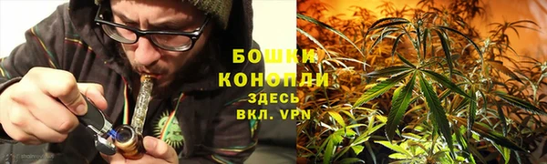 MESCALINE Осинники
