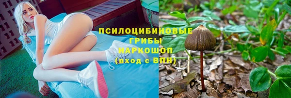 трава Алзамай