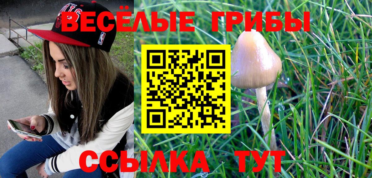 Галлюциногенные грибы мицелий Сосновоборск